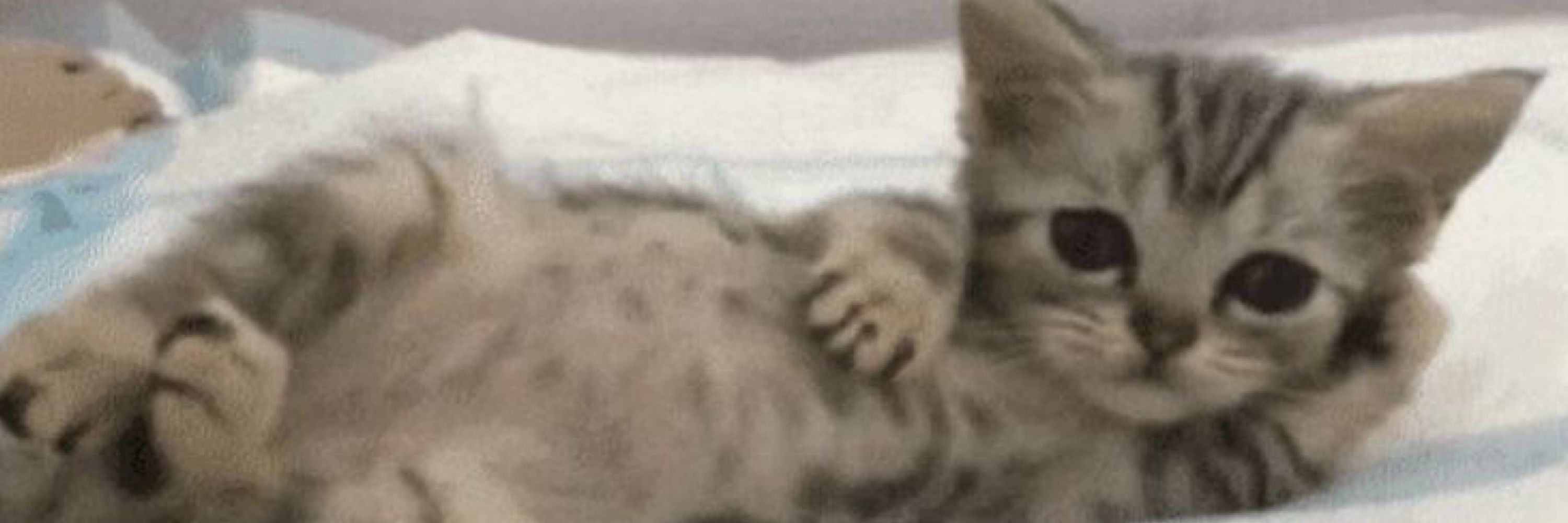 Millyzinha