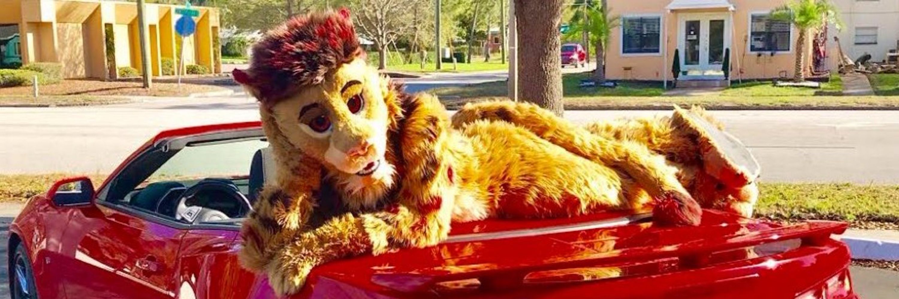 Lukerative Lion