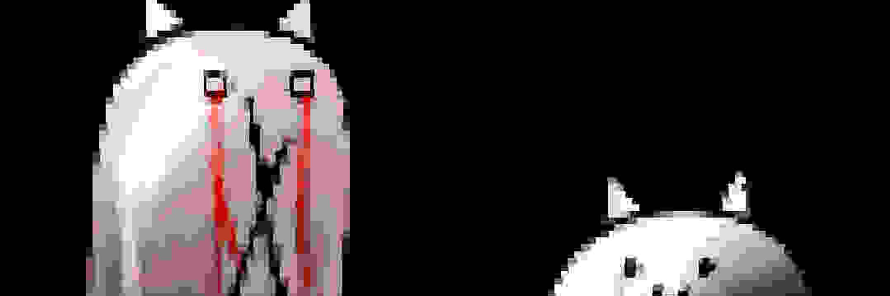 PenguinJr