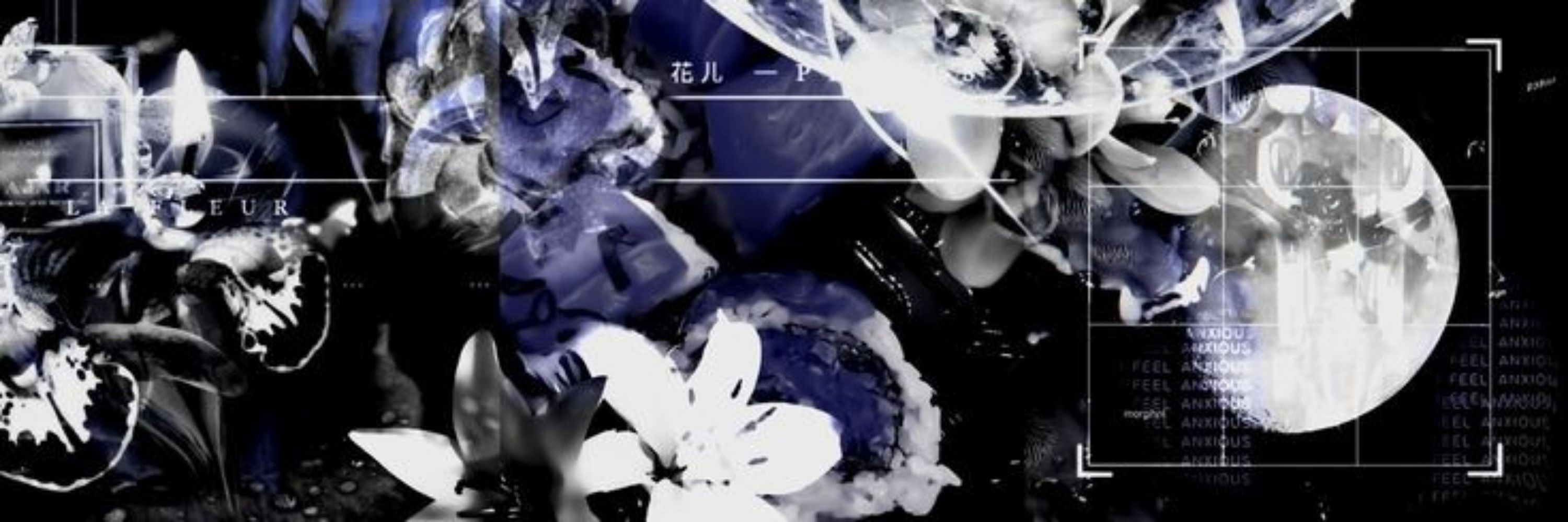ivy ౨ৎ AWE