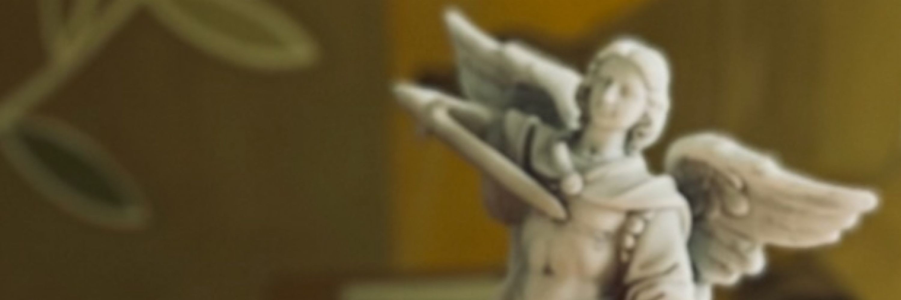 Diego Cruz 🇻🇦