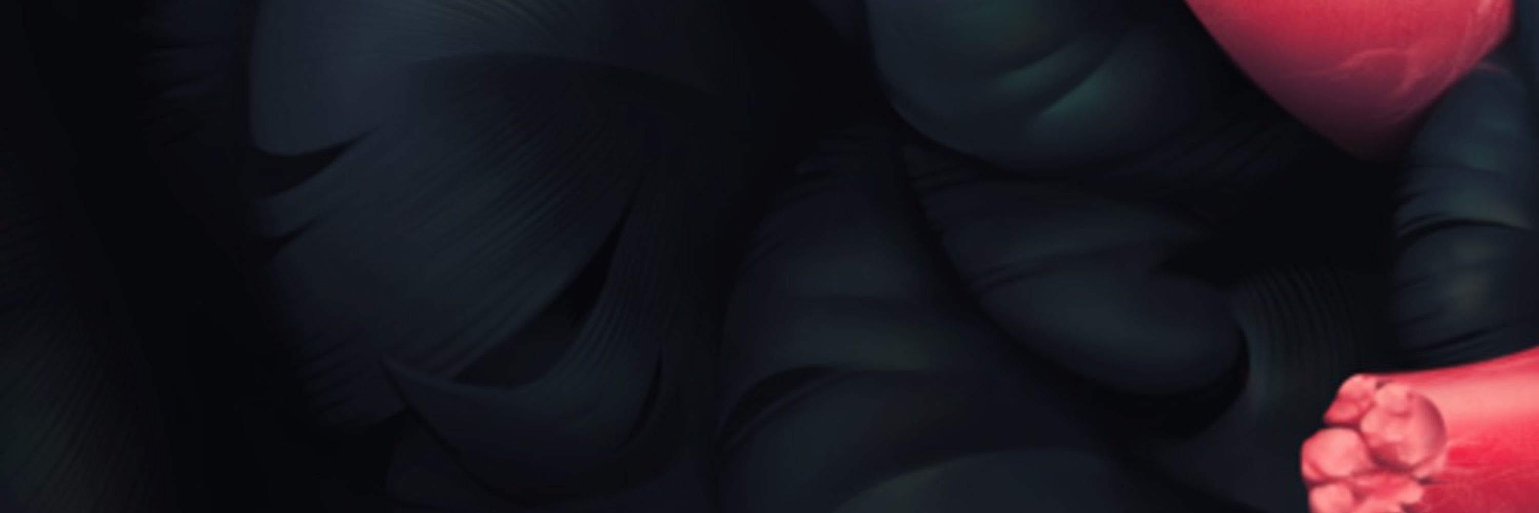 Insignasus - Commissions are open!