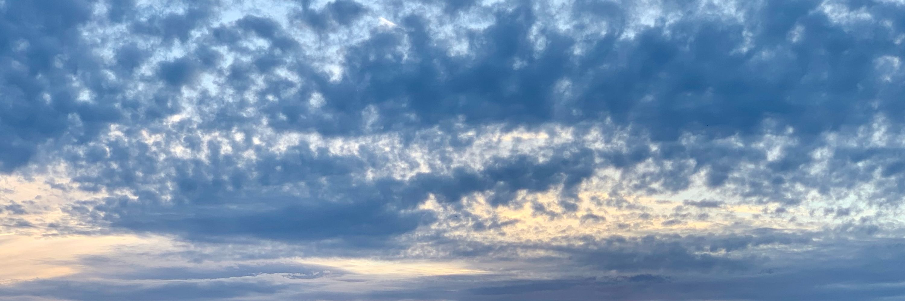 le bleu et le gris