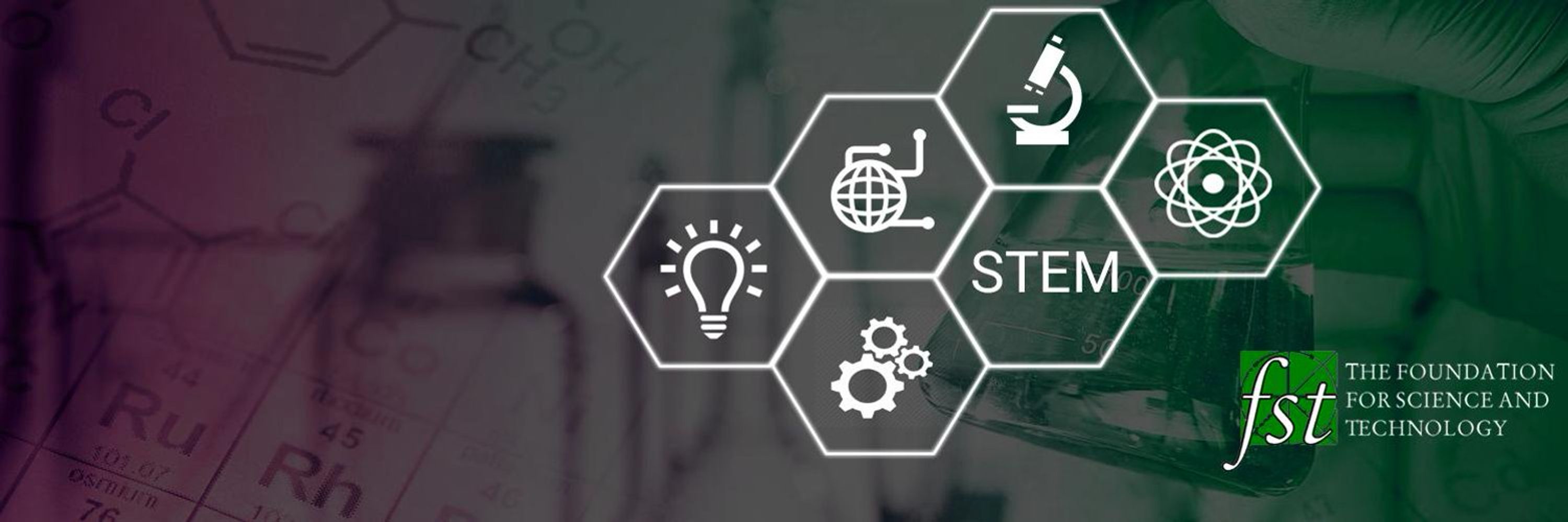 The Foundation for Science and Technology