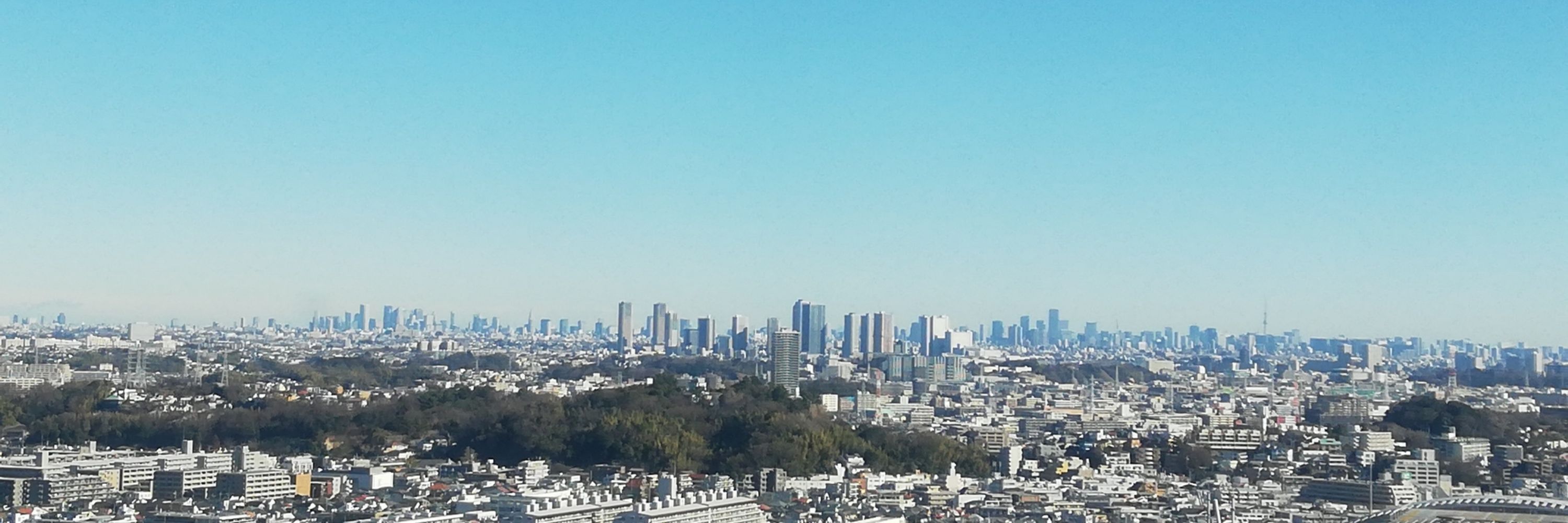 さのれもん