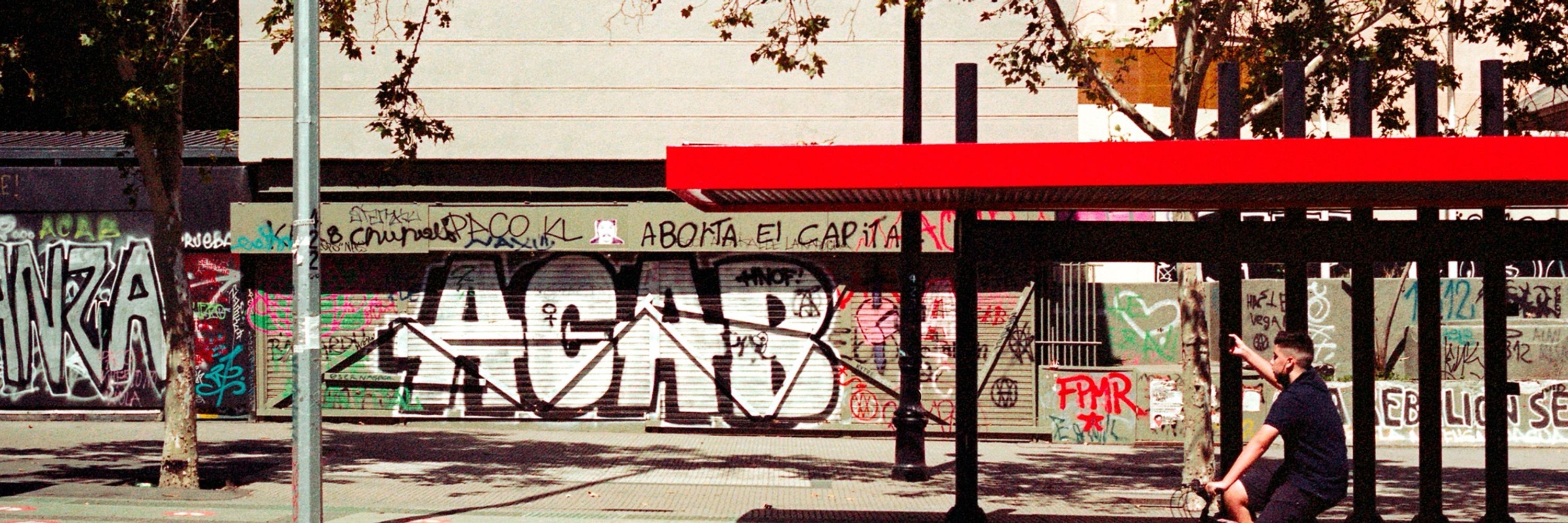 Mestizo43