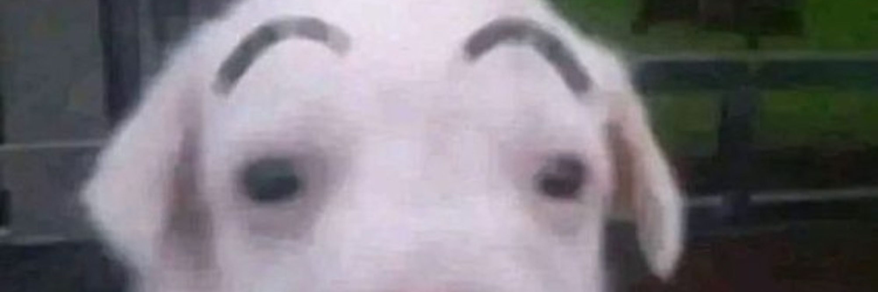 Kyooooomi