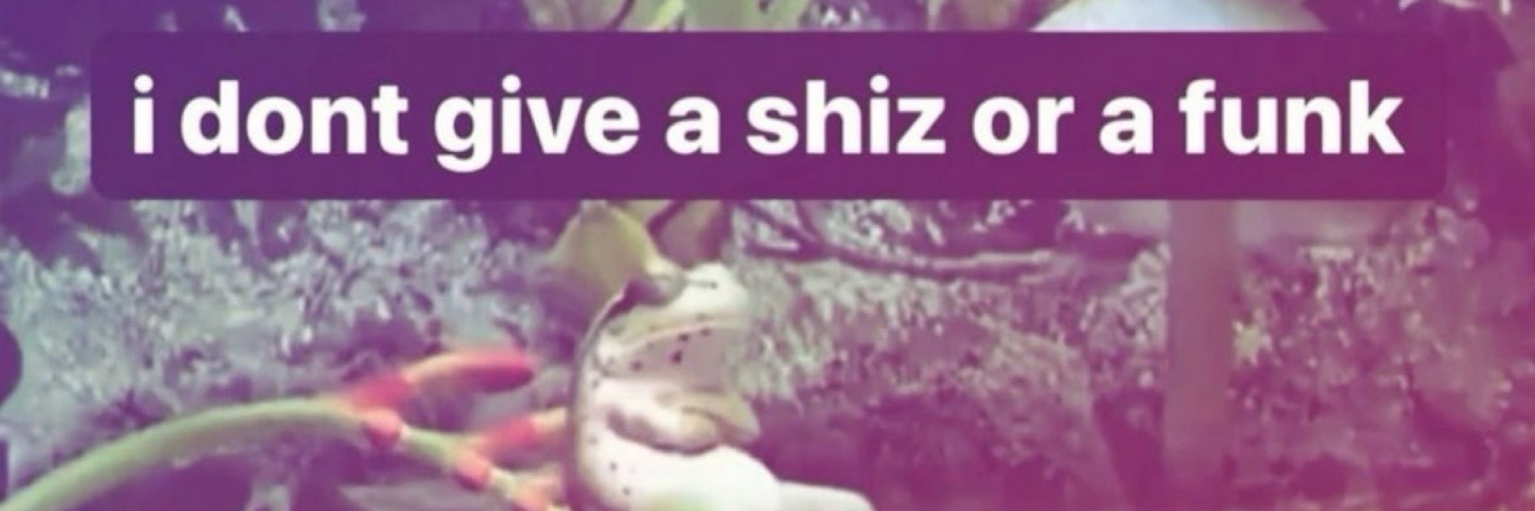 Vy
