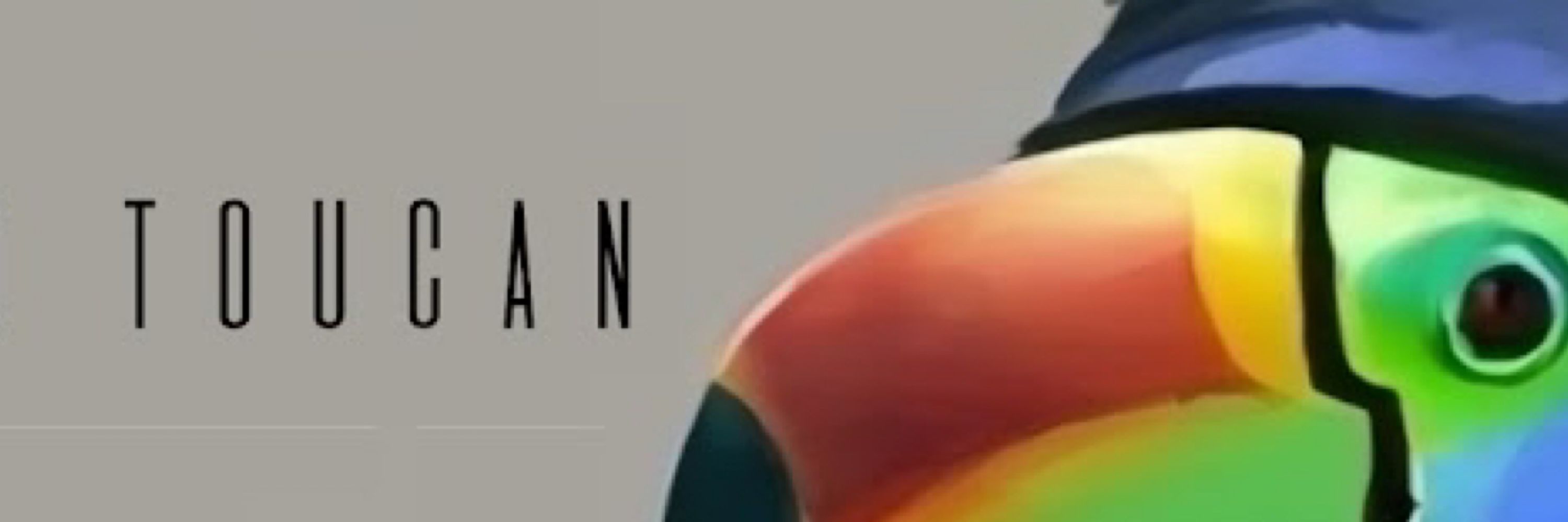 The Wizard Toucan