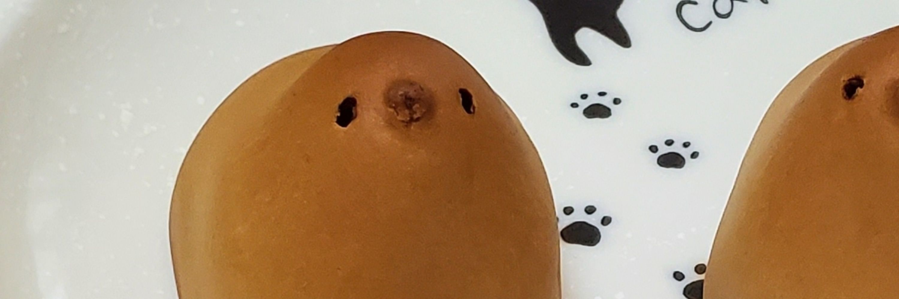 生たまご