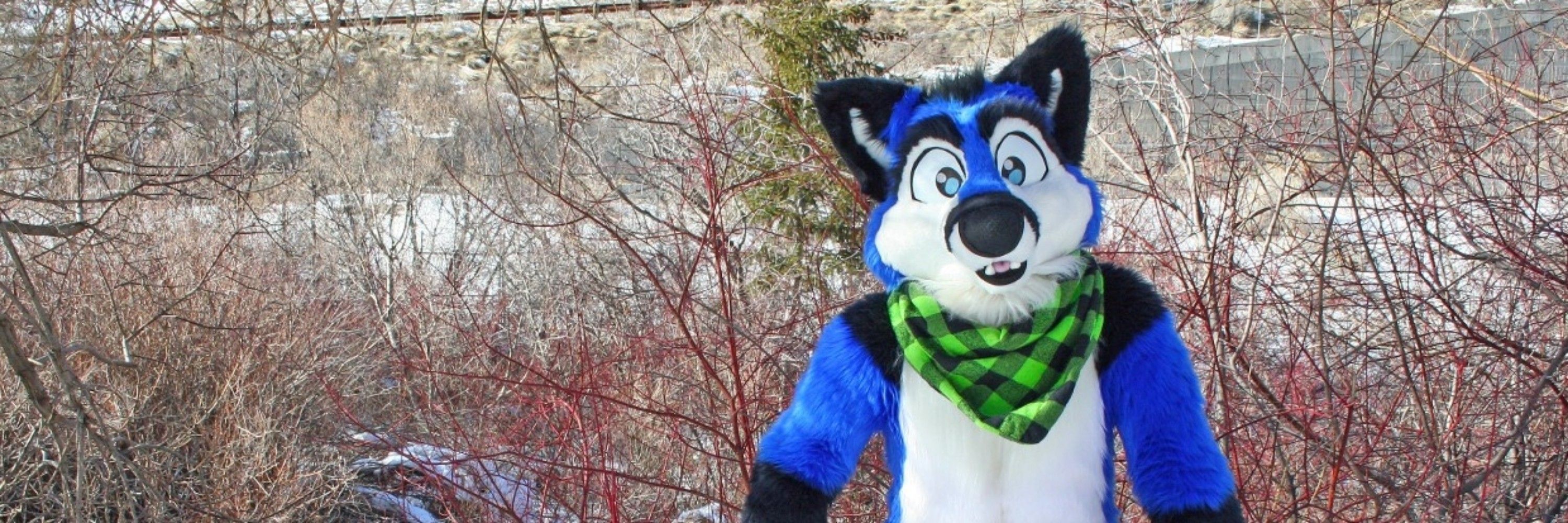 FrosteeFox