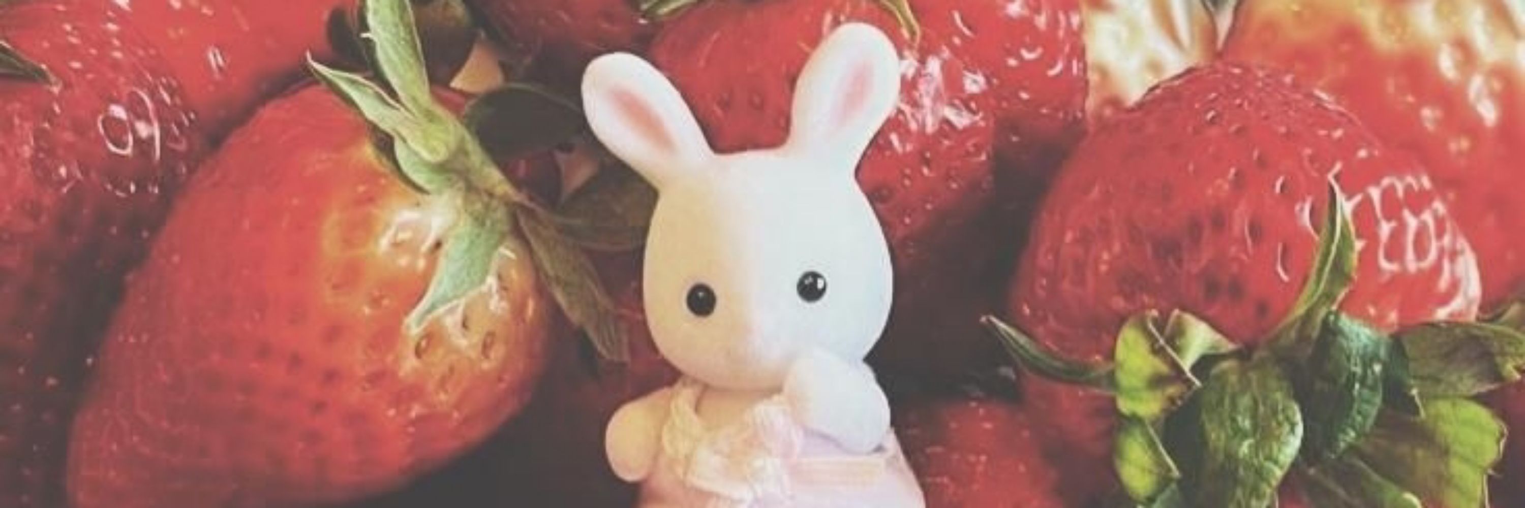 🍰 | 𝑆𝑢𝑧𝑦 ! ★