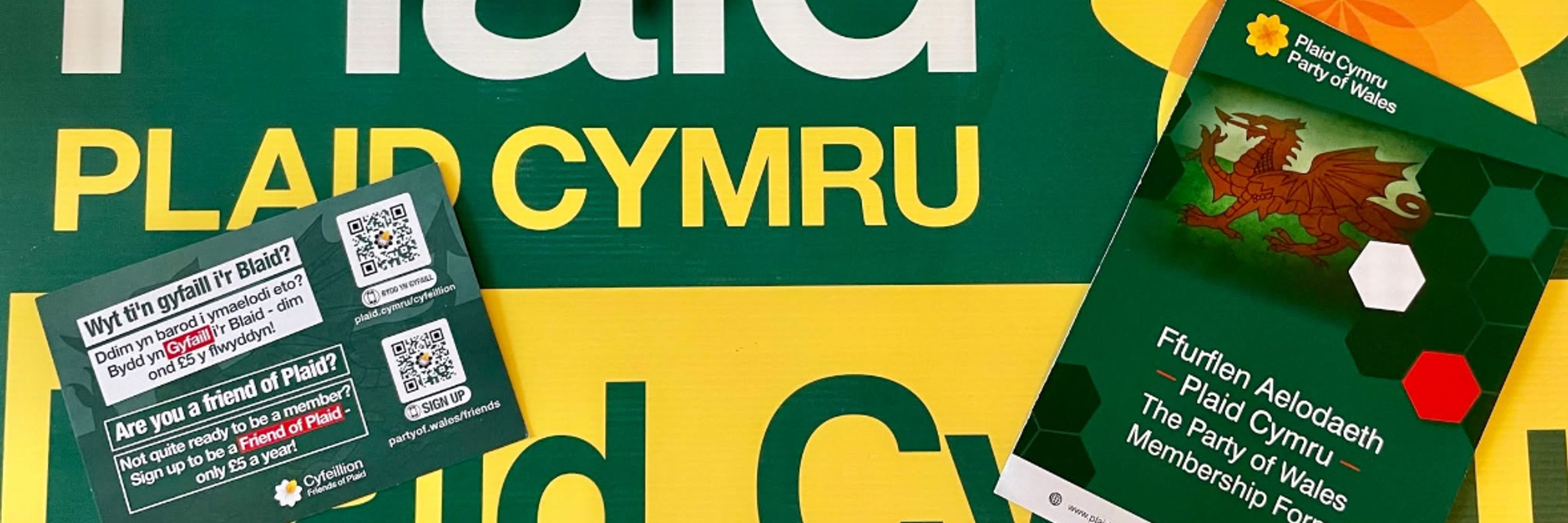 Plaid Cymru Sir Fynwy / Monmouthshire
