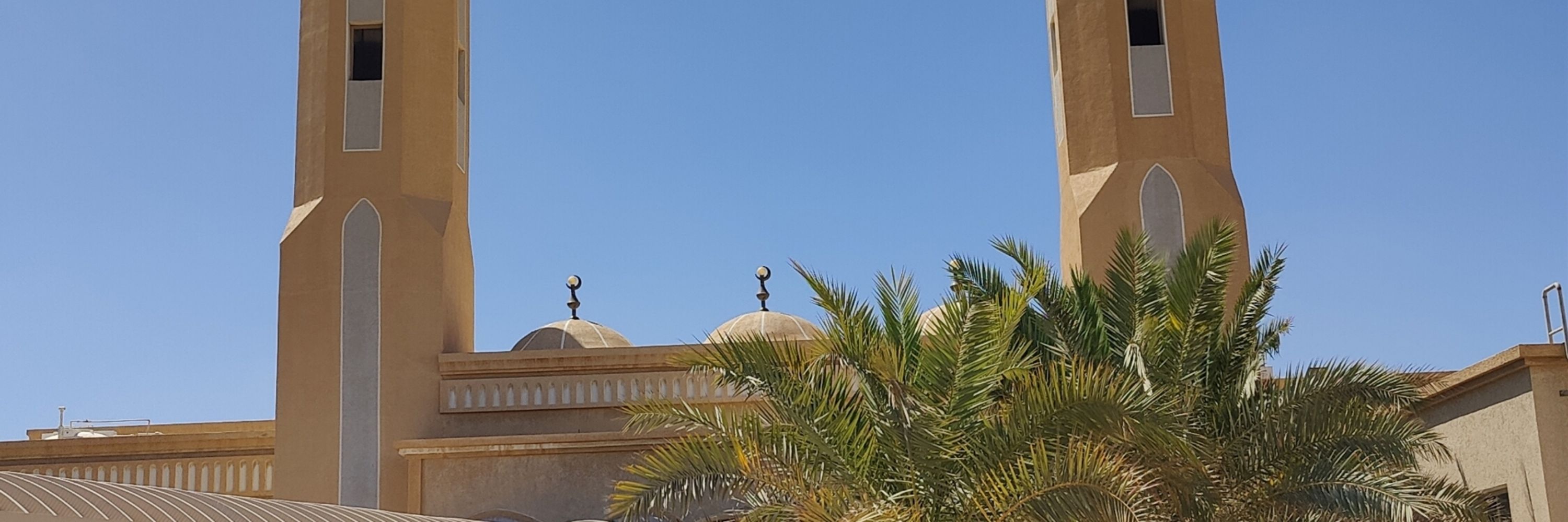 بنيحيى