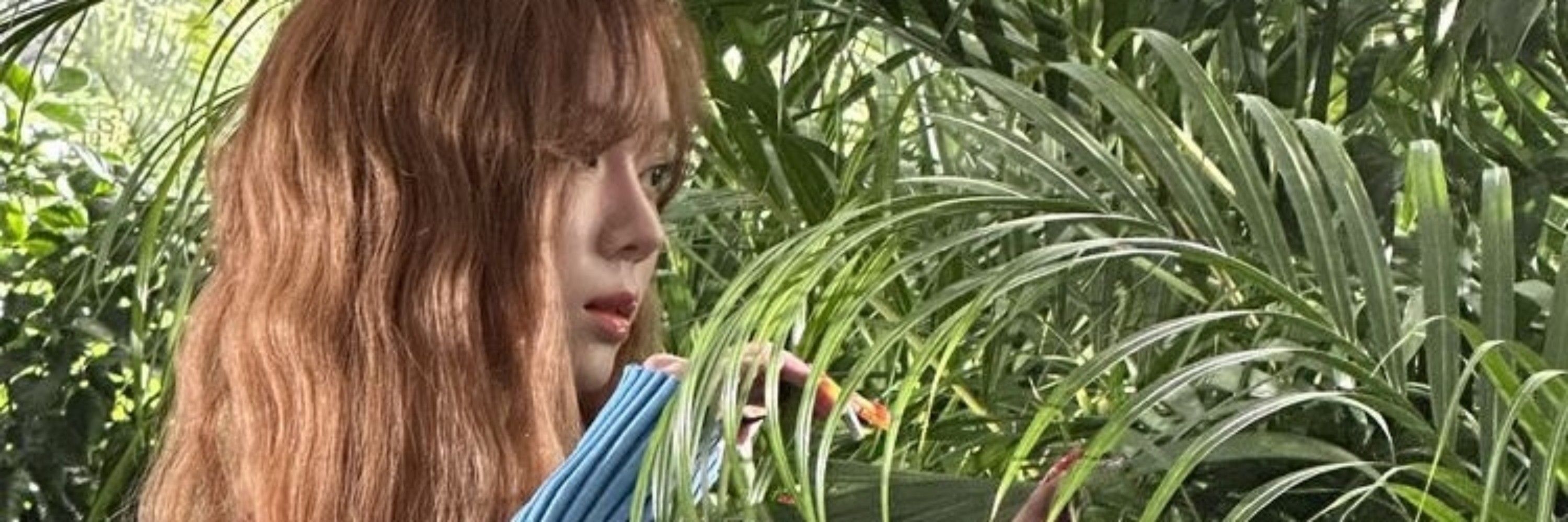 제인