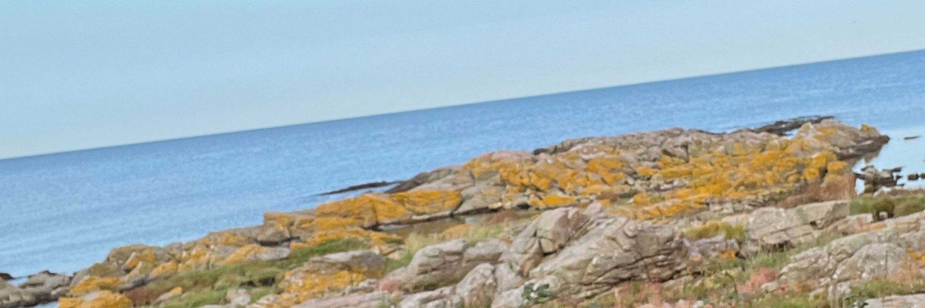 Lone Koefoed Hansen