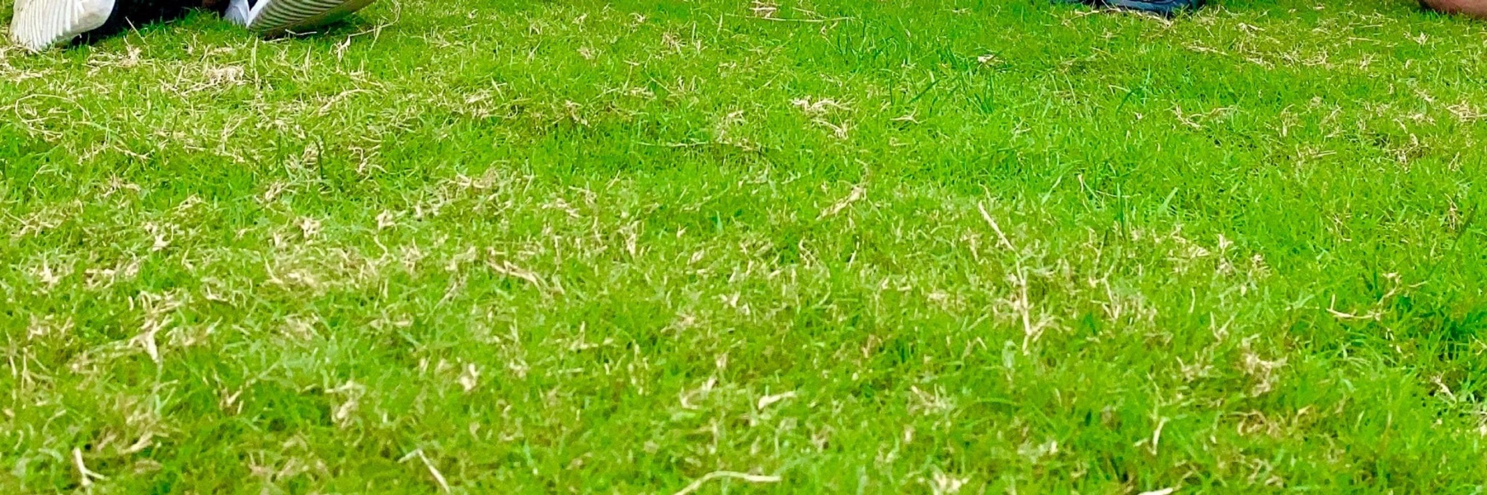 くるもみ