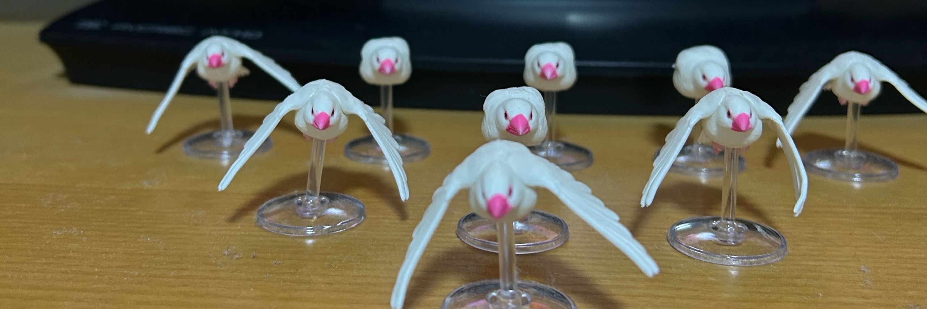 ニワコ𓅪