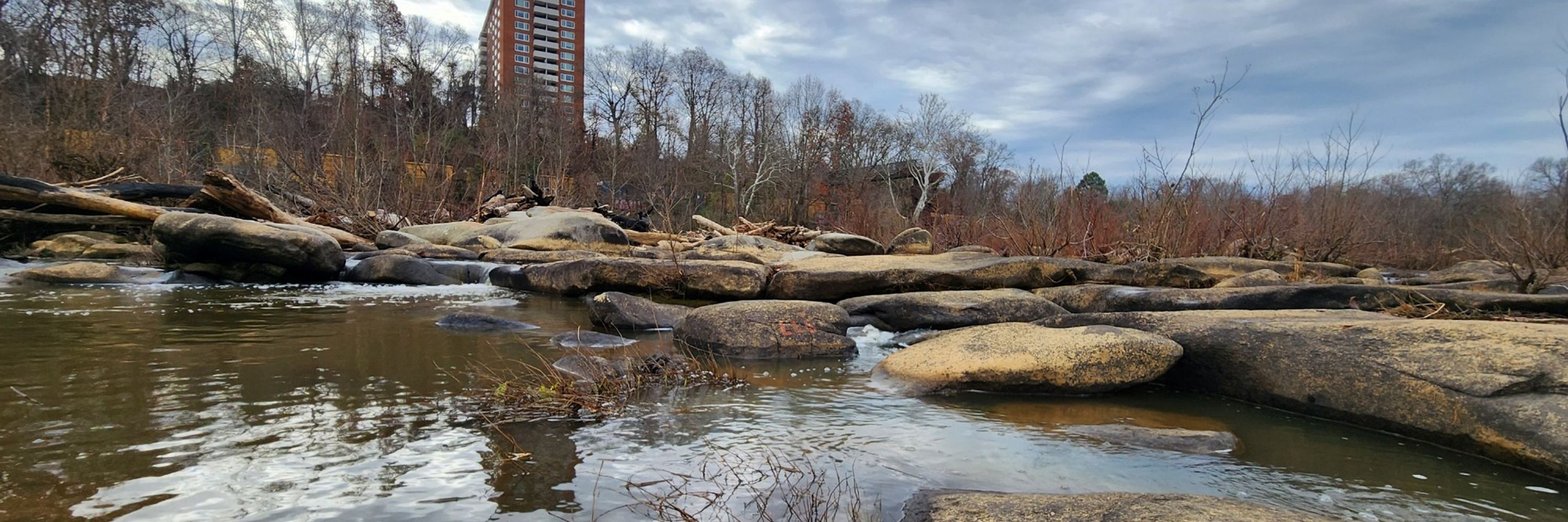 What Makes RVA