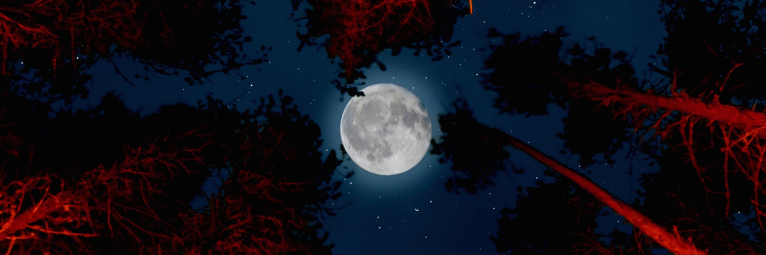 The Howling Wolf: Tales of Horror
