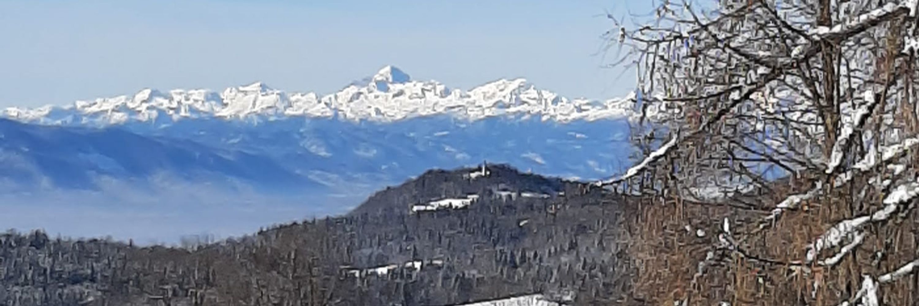 Polona Le Quesne Stabej