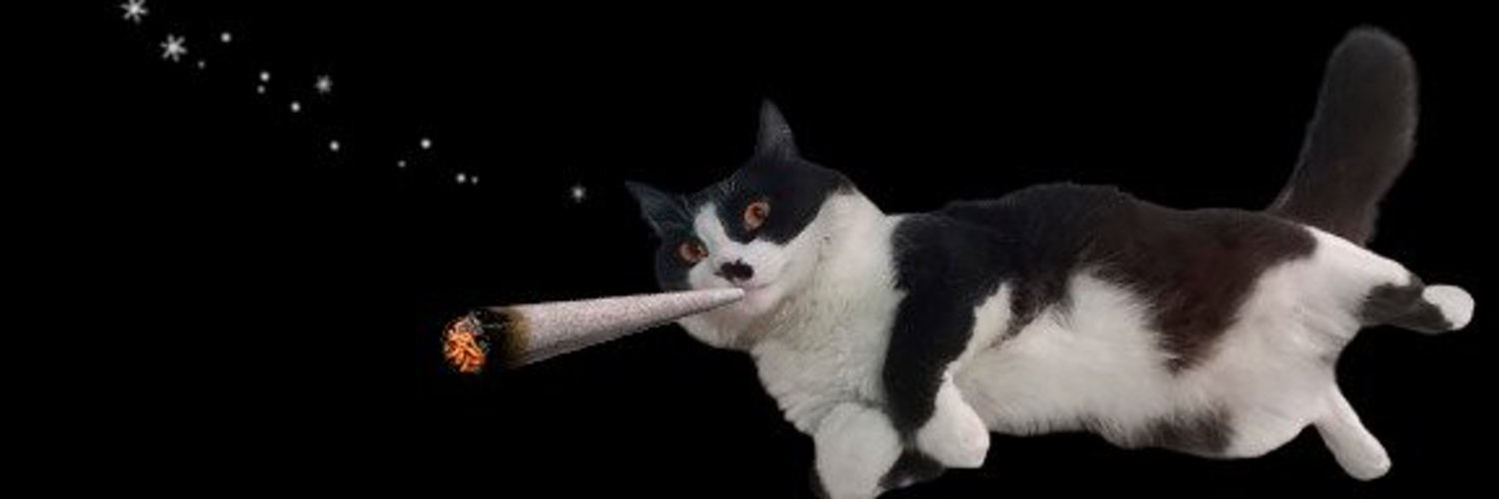 Rhuu