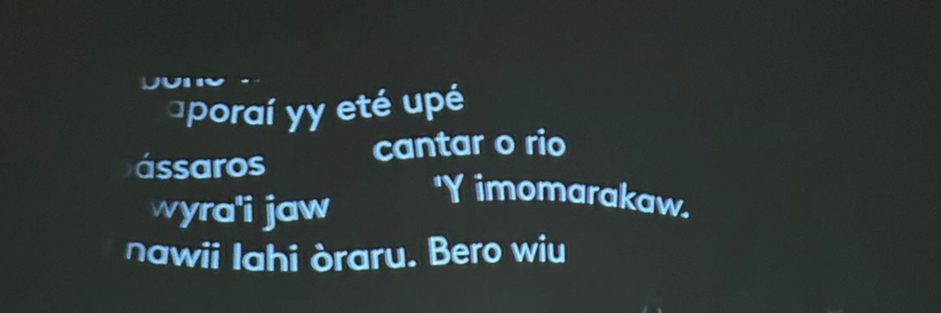 sasa 