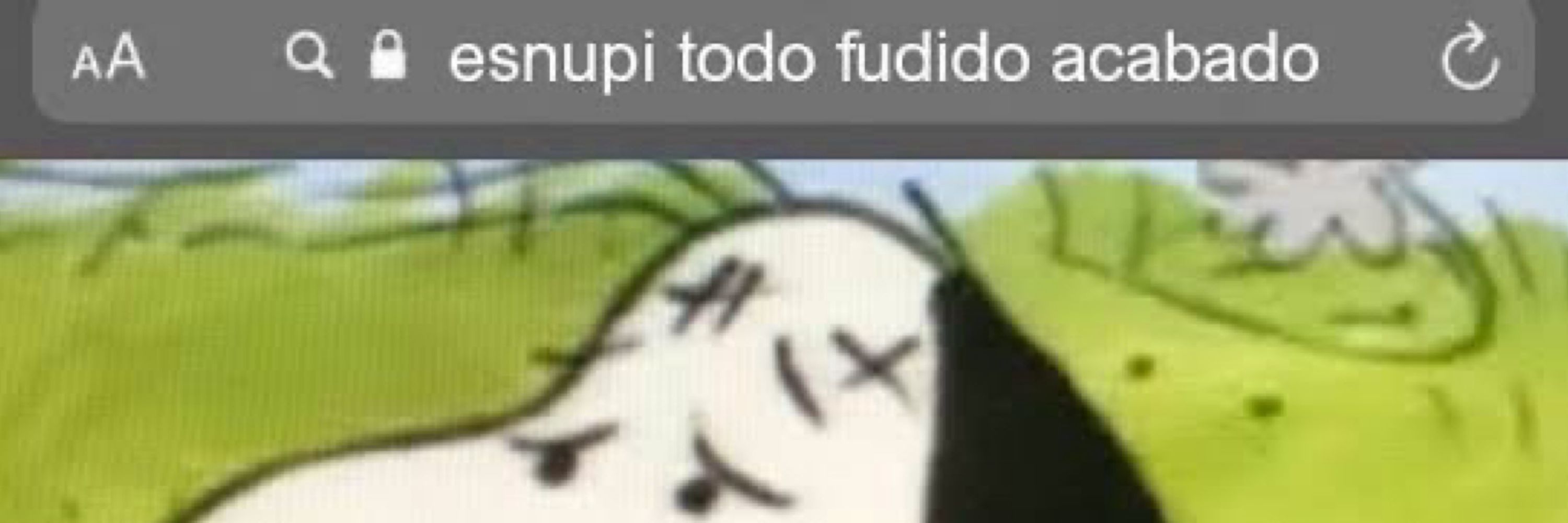 catioro reflito