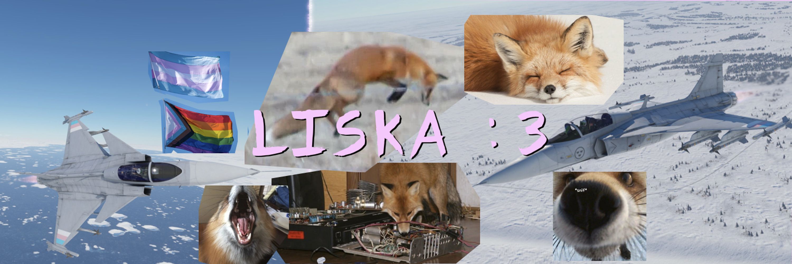 PinkFoxi