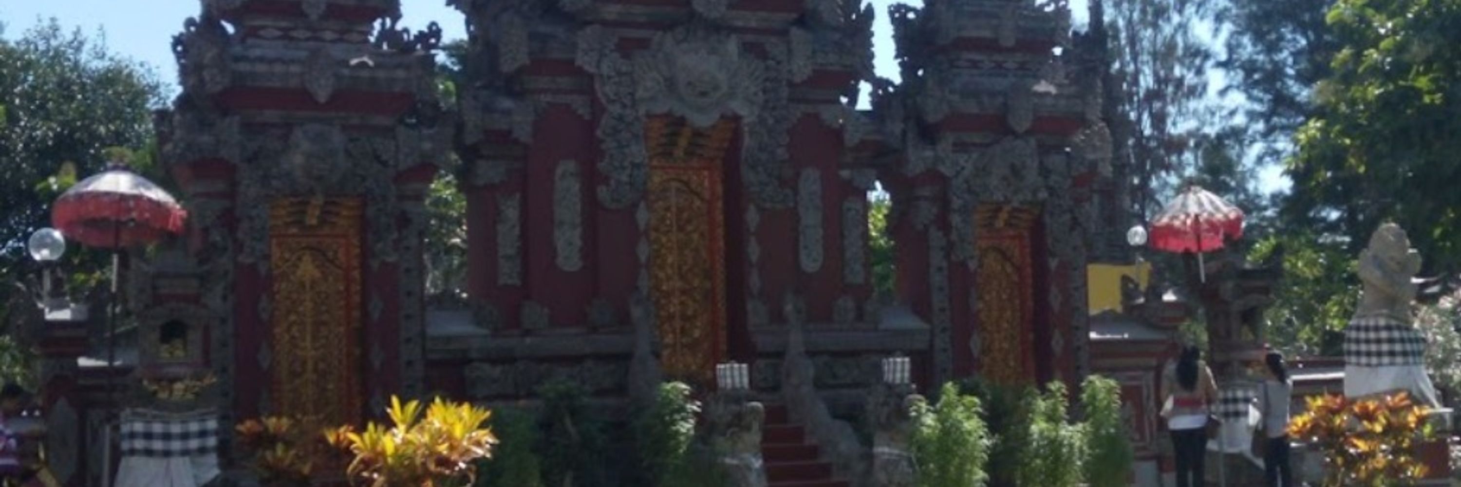 IB Teguh TM