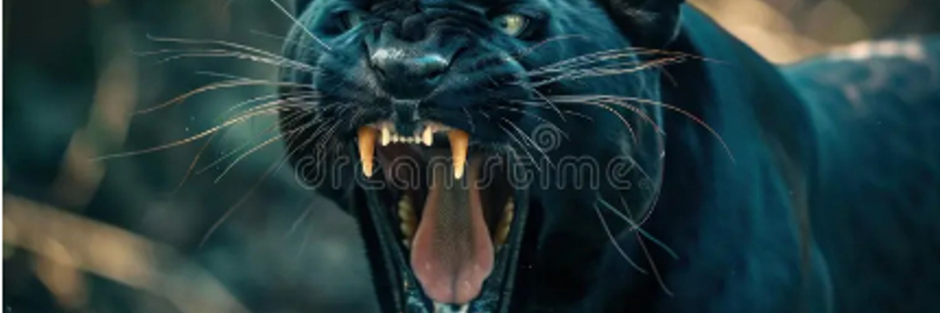 Black Panther