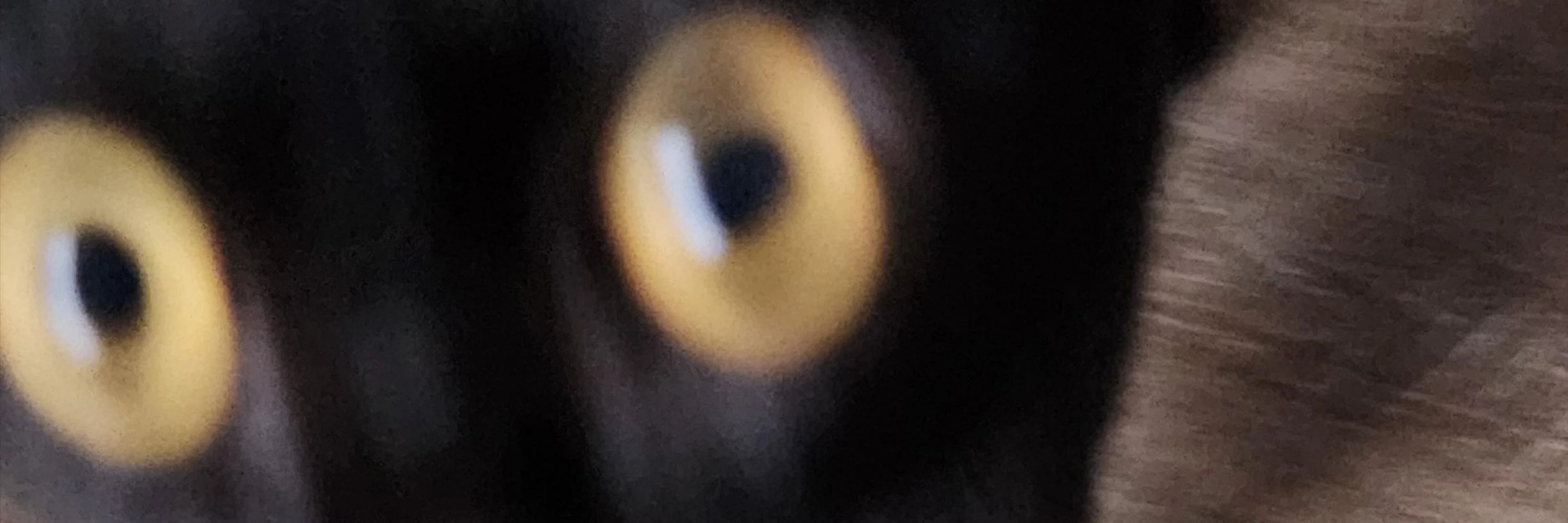 Mae