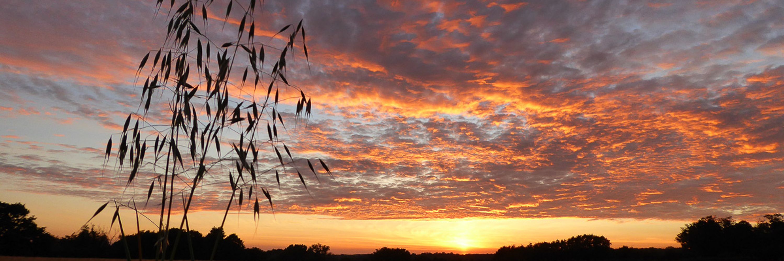 Suffolk Skies