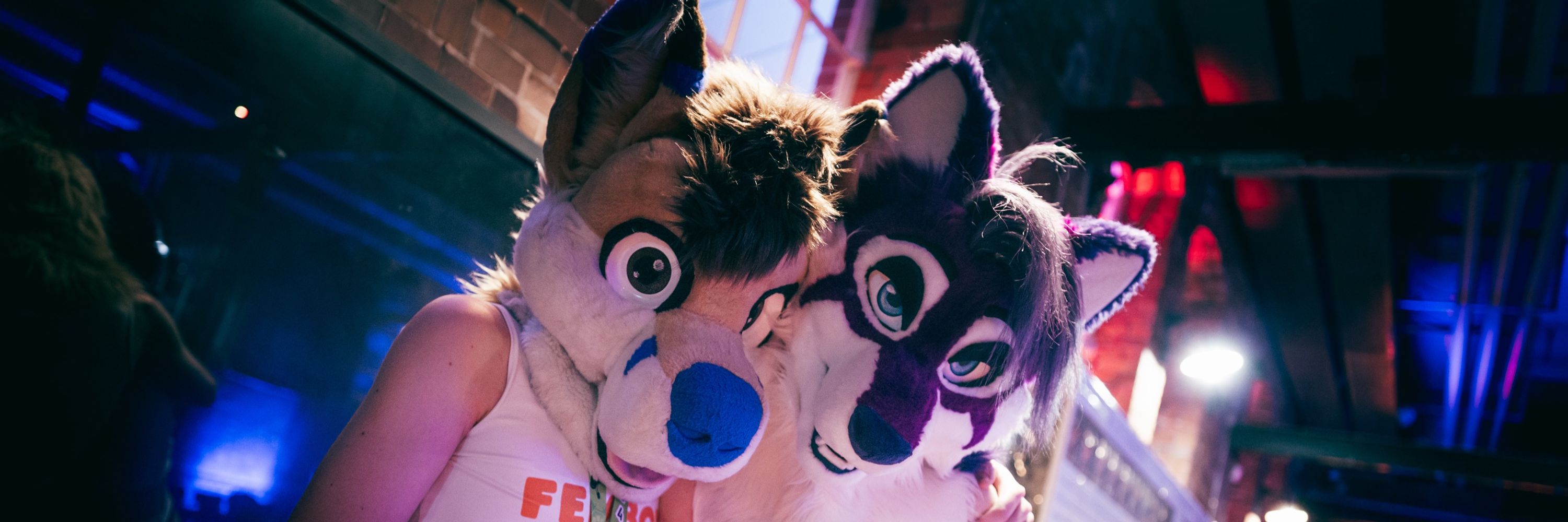 💙TJ Fox💛 🌈∞ @ NFC 🇸🇪