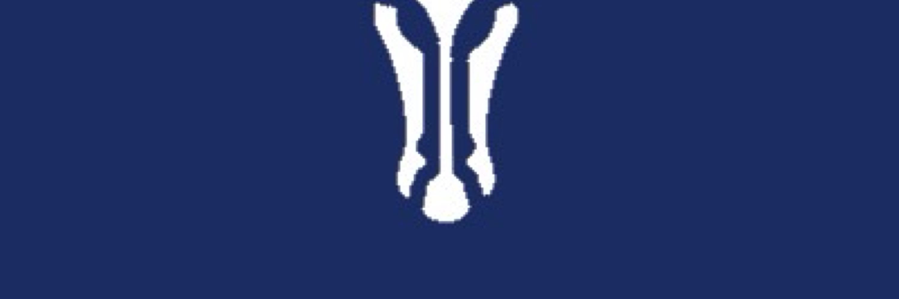 Chingford Cricket Club