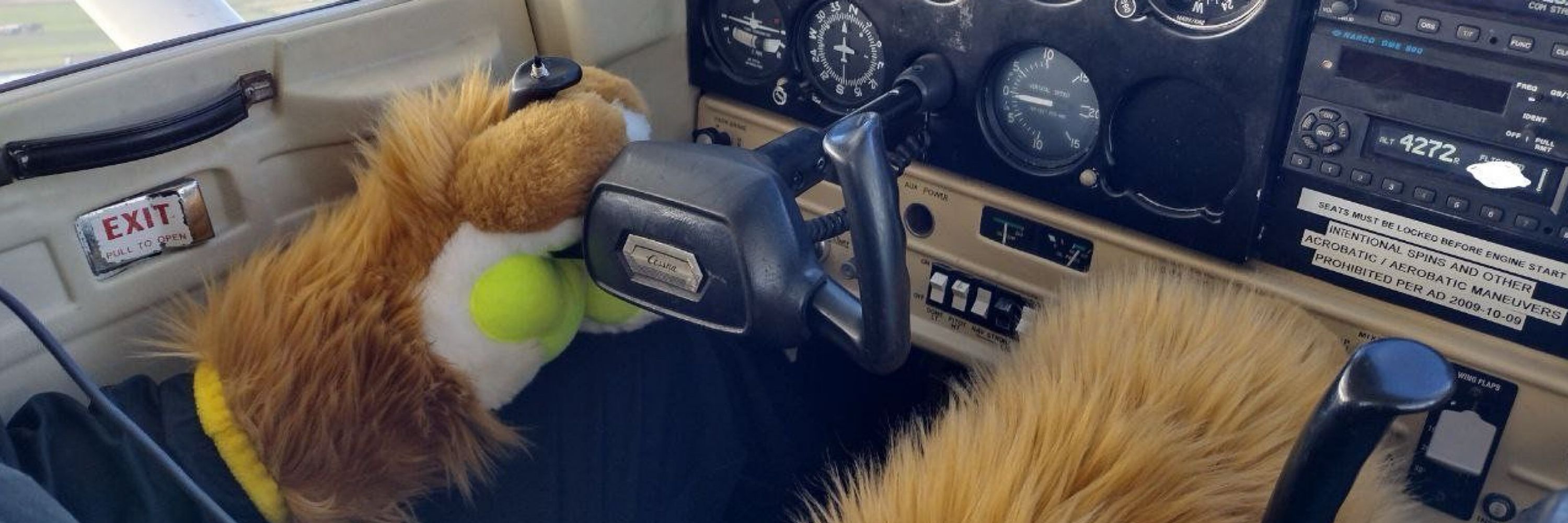 Reivan 🦁 🔜 CFz '25!