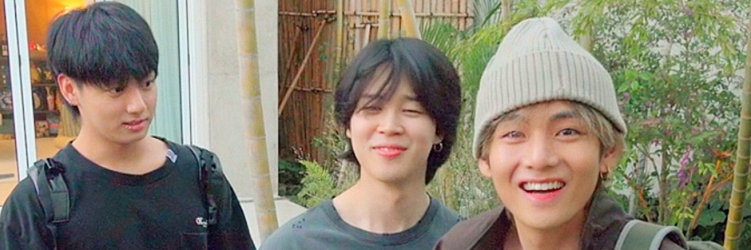Fani