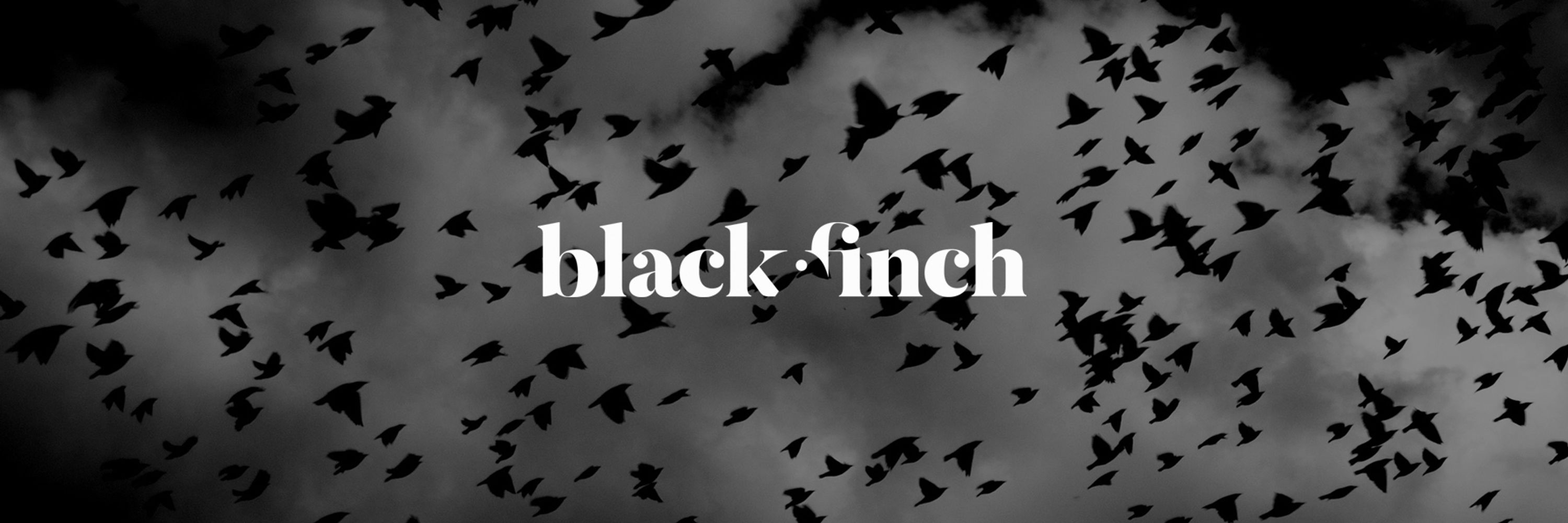 Black Finch Design