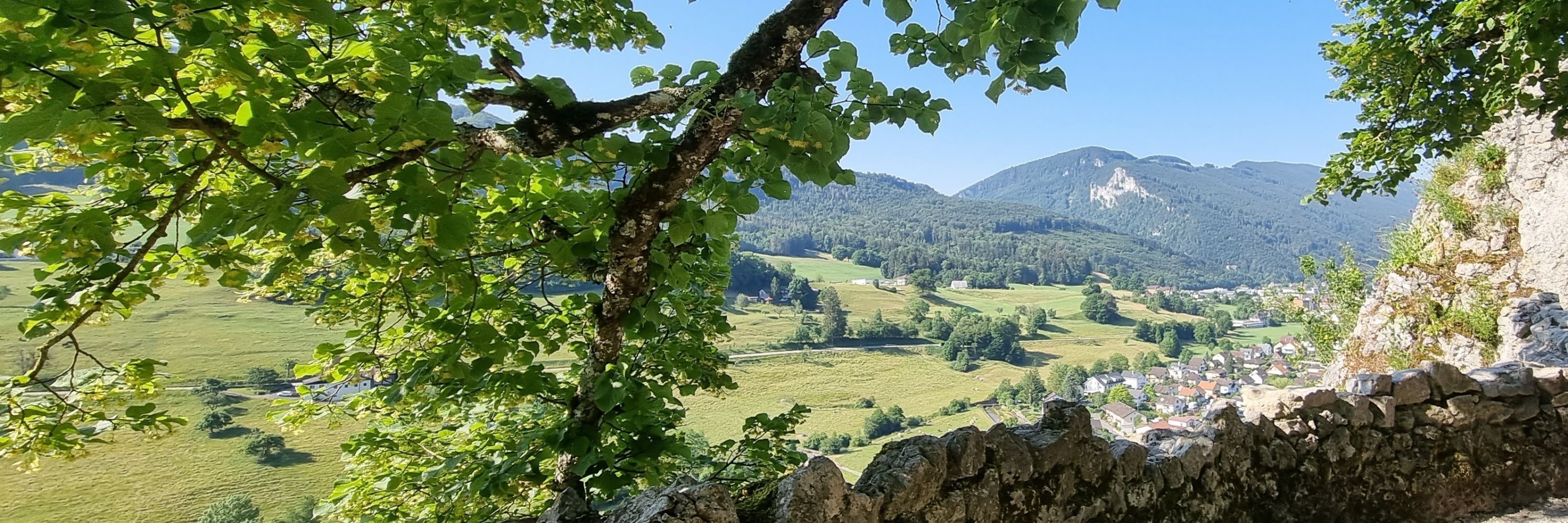 Urs Vögele