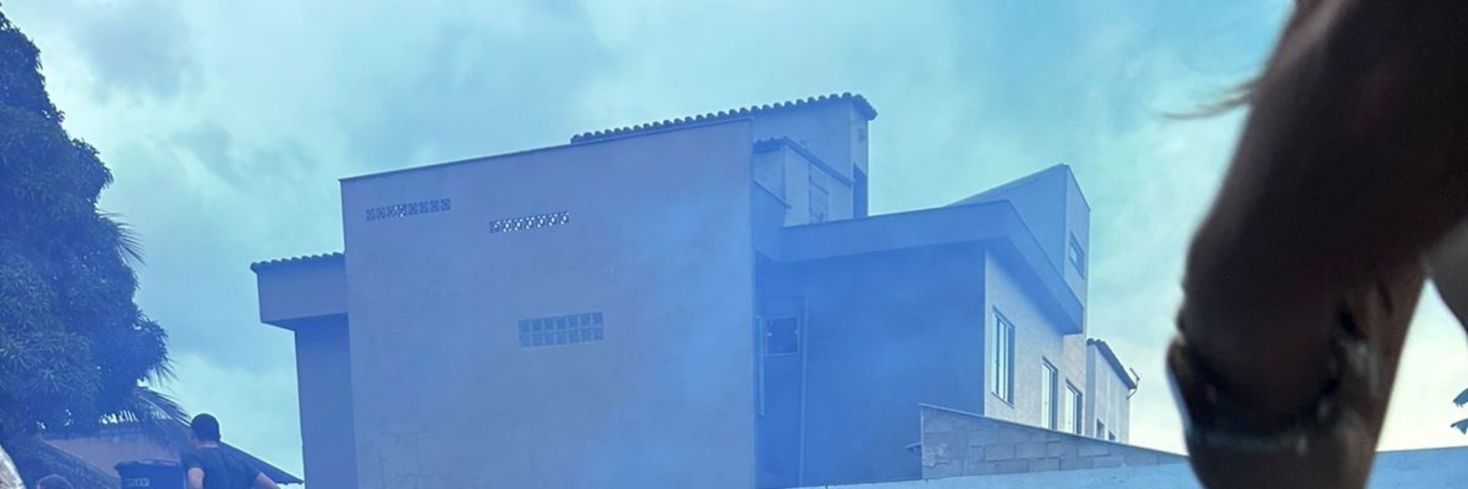 sasa