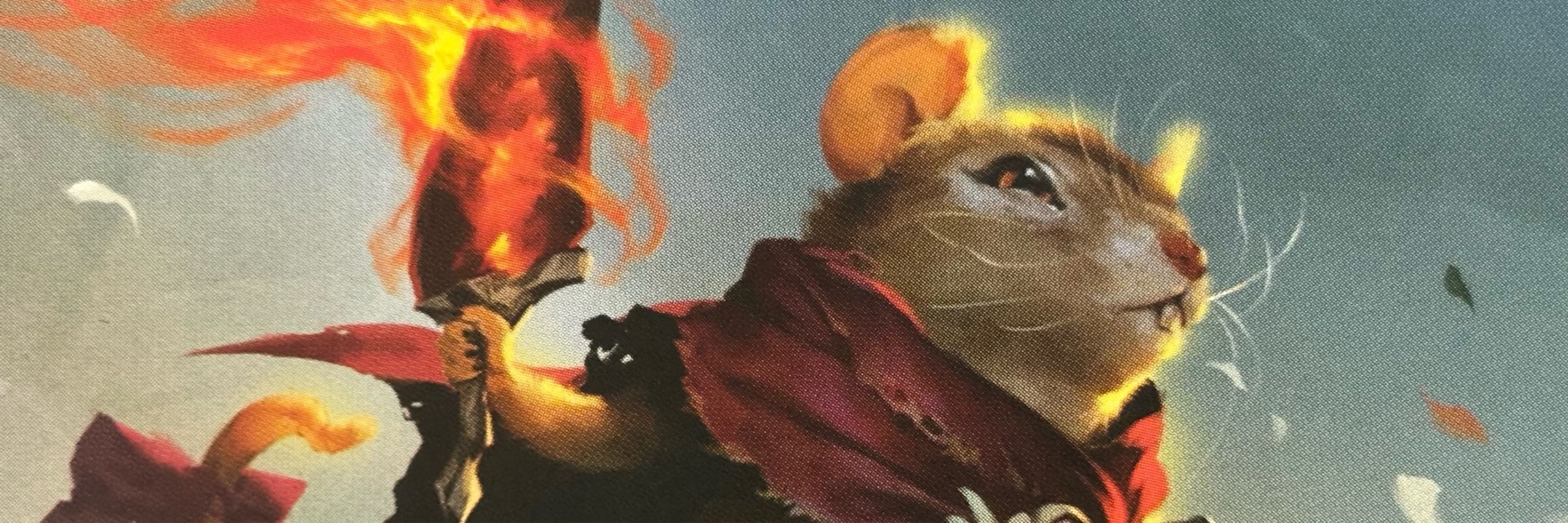 Nasirdîn the Ferret
