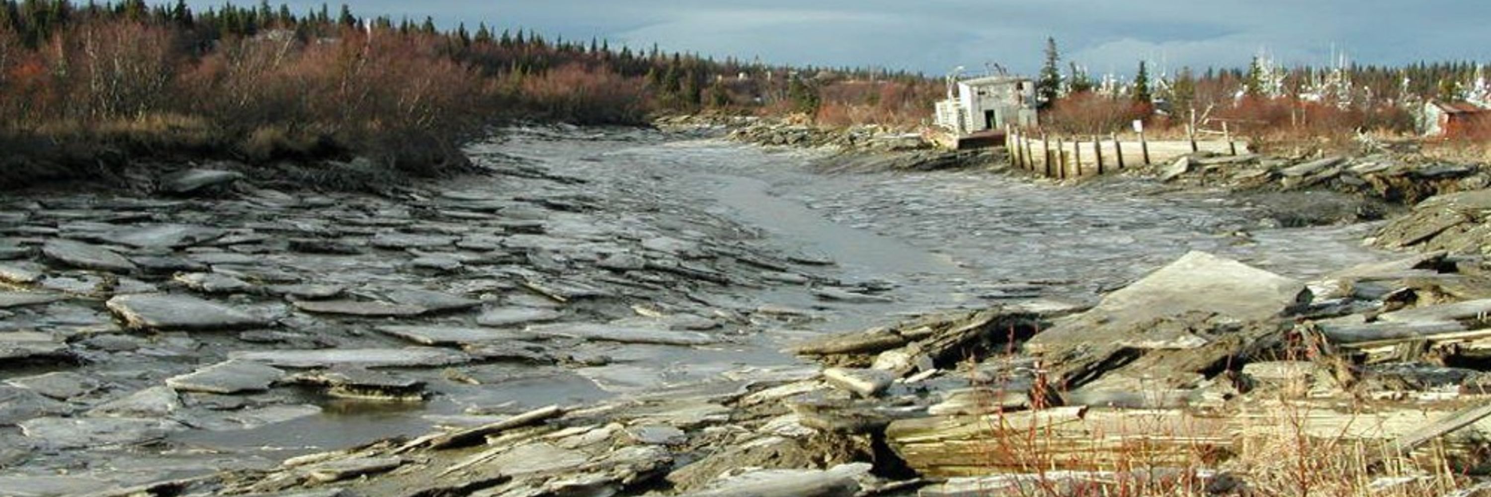 RichThompsonAK