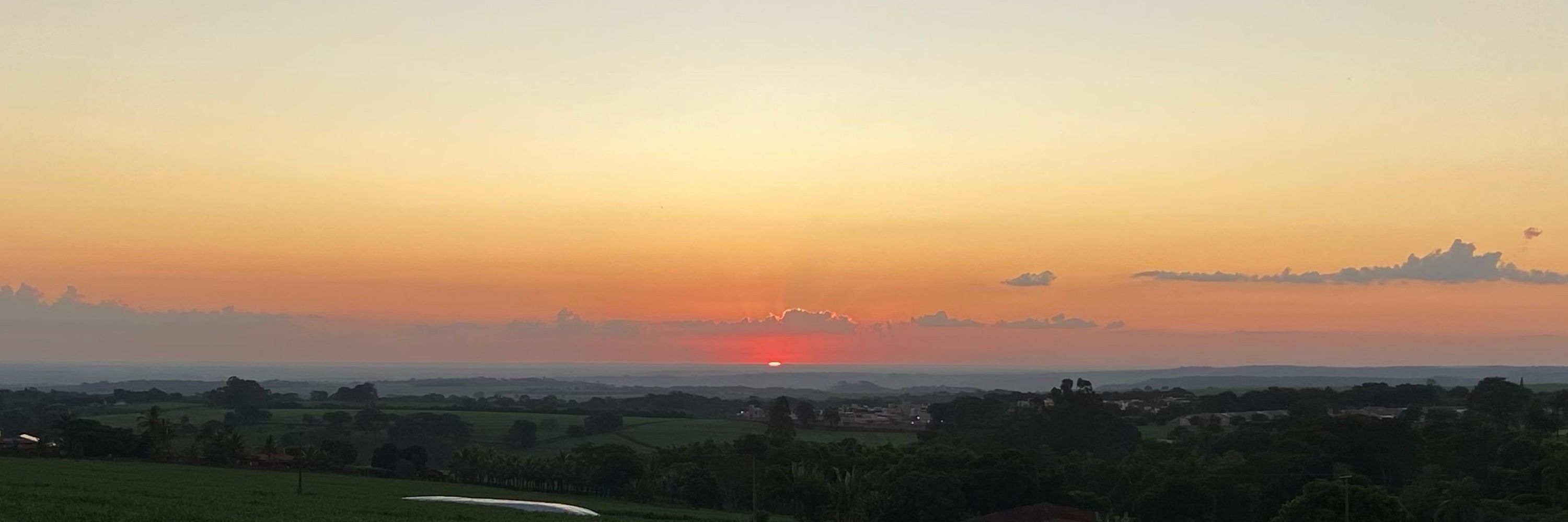 Oliveira