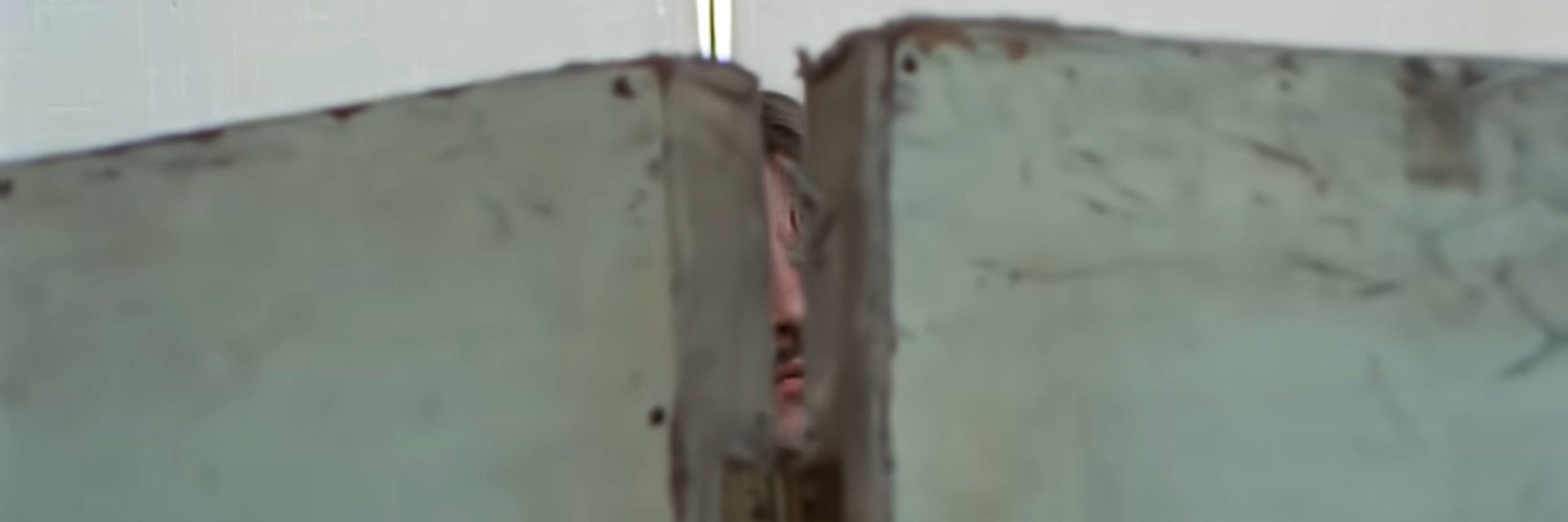 Borščevicá Sosnowská