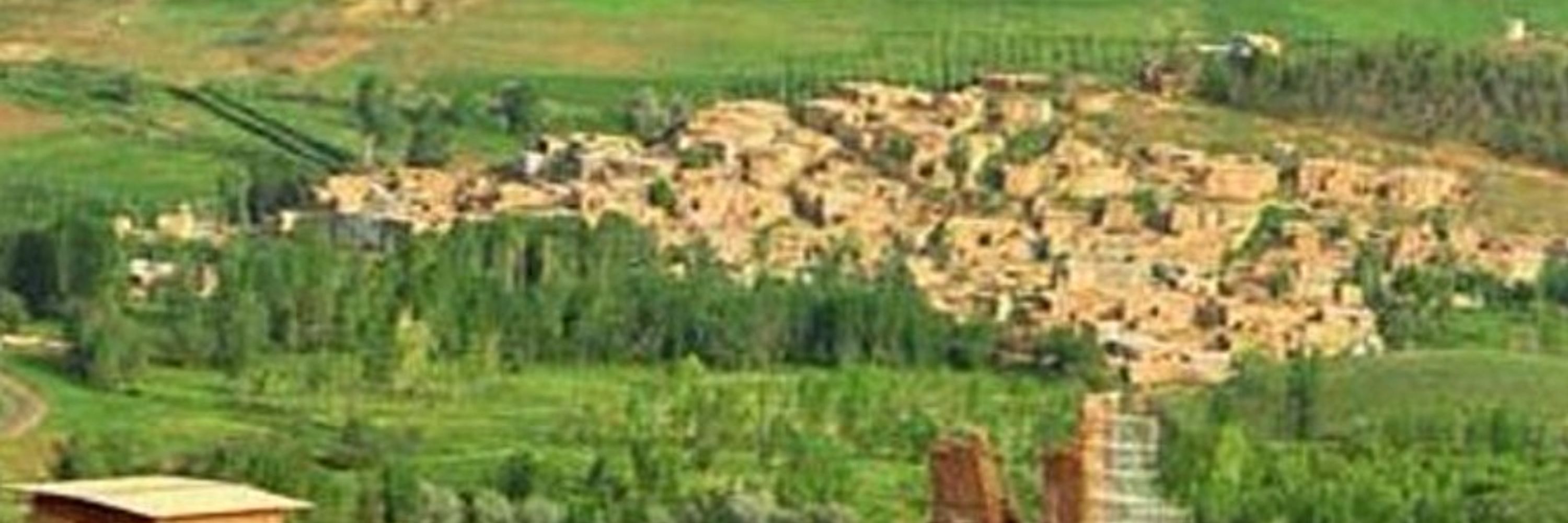 Iran Varjavand