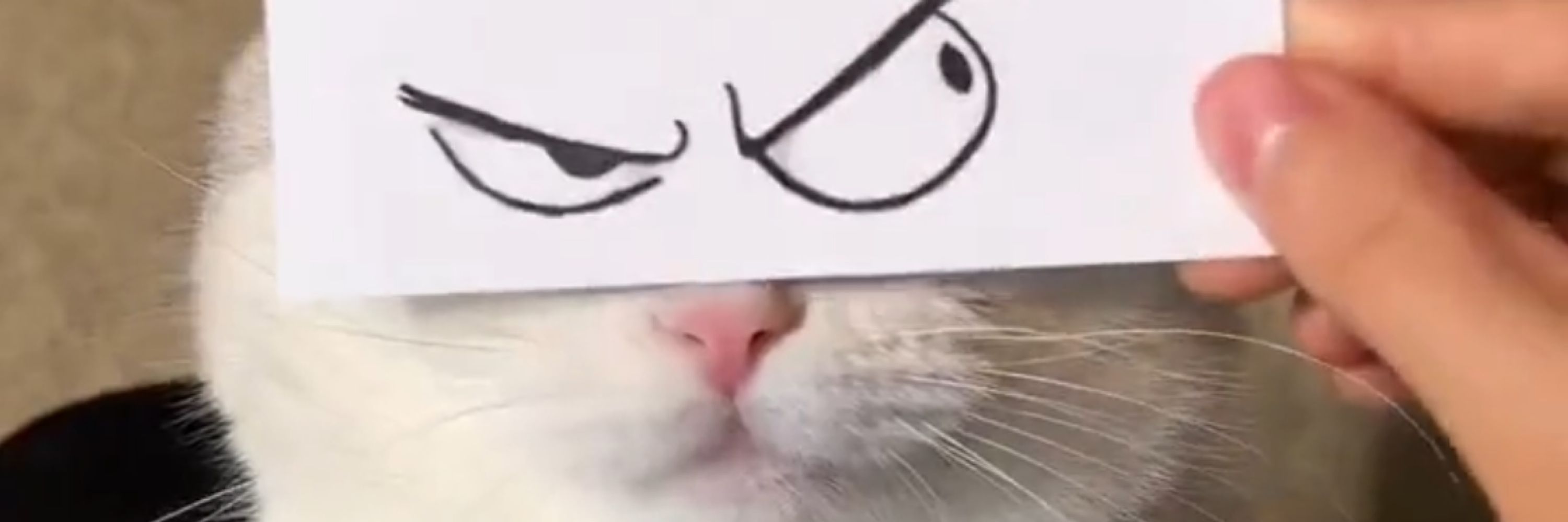 スケベハゲΩ