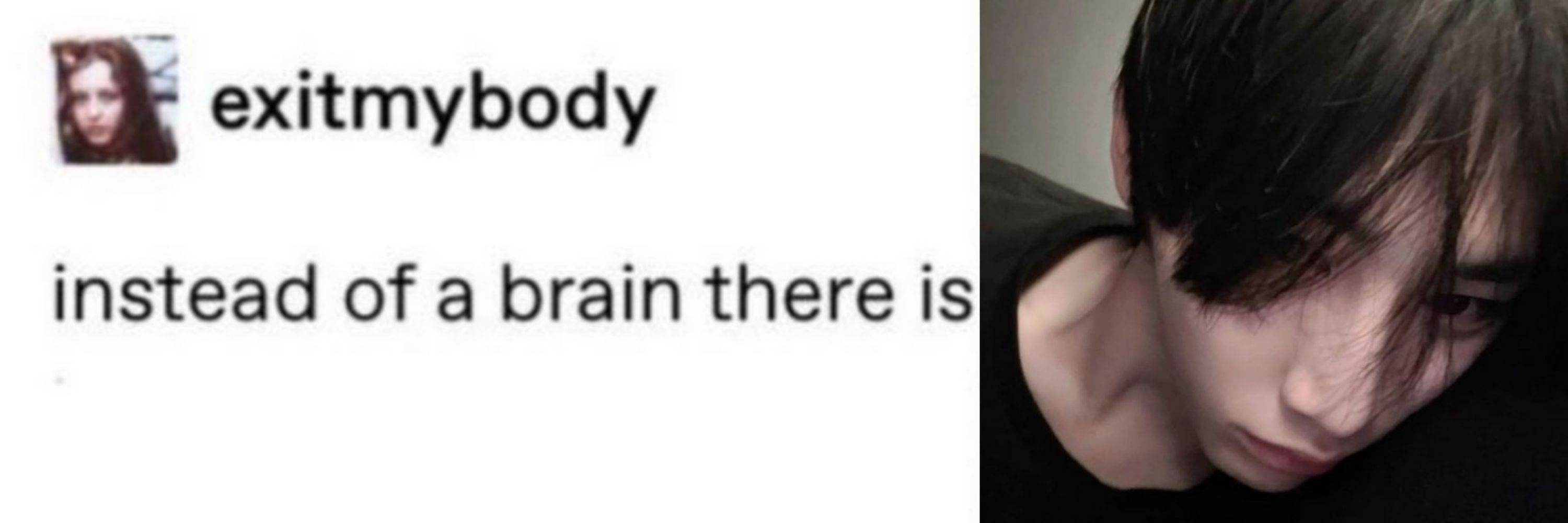 vic