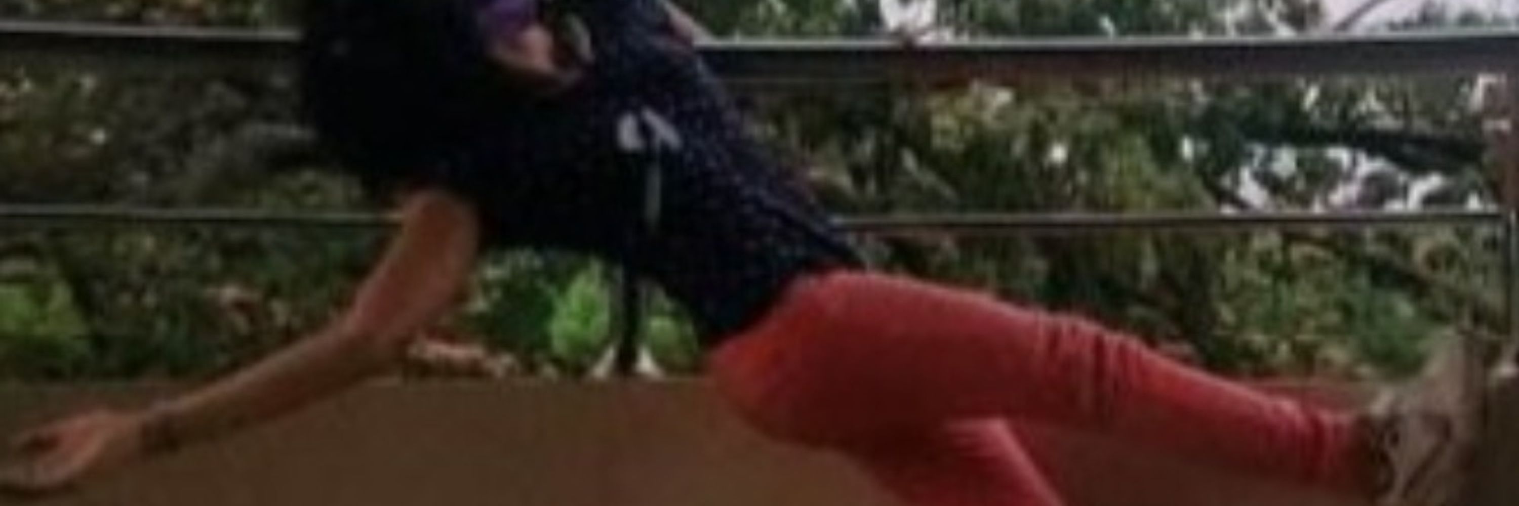 Ari