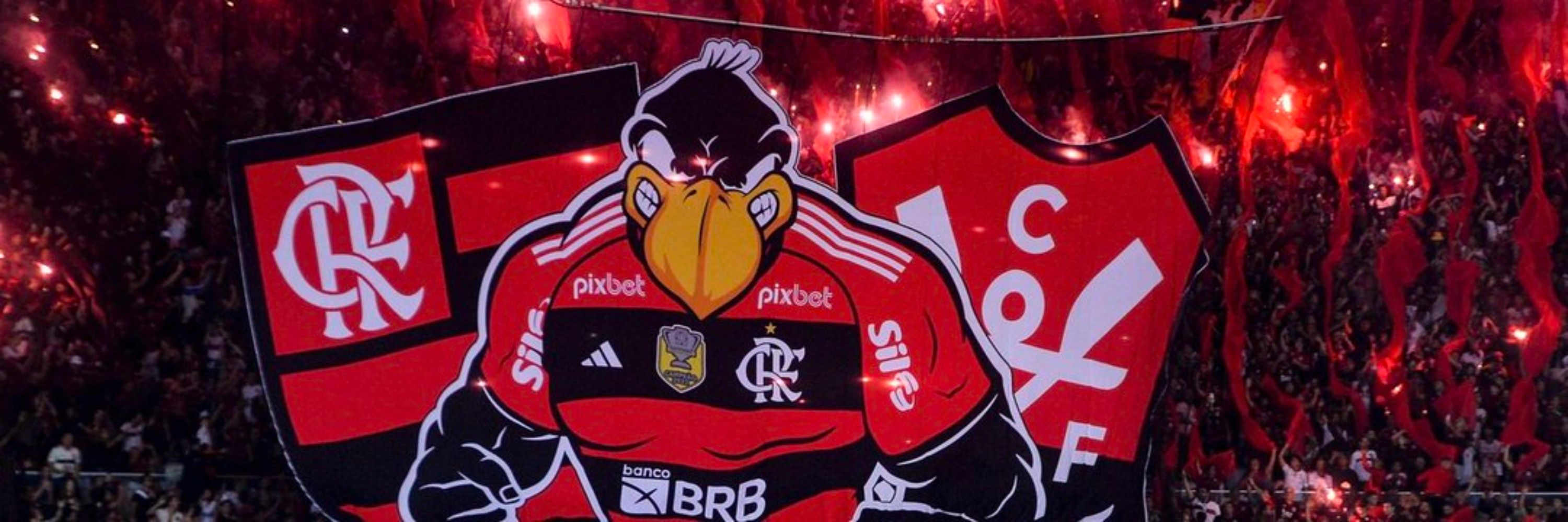 𝙰𝚗𝚍𝚛𝚎ᶜʳᶠ #ForaBrazELandim