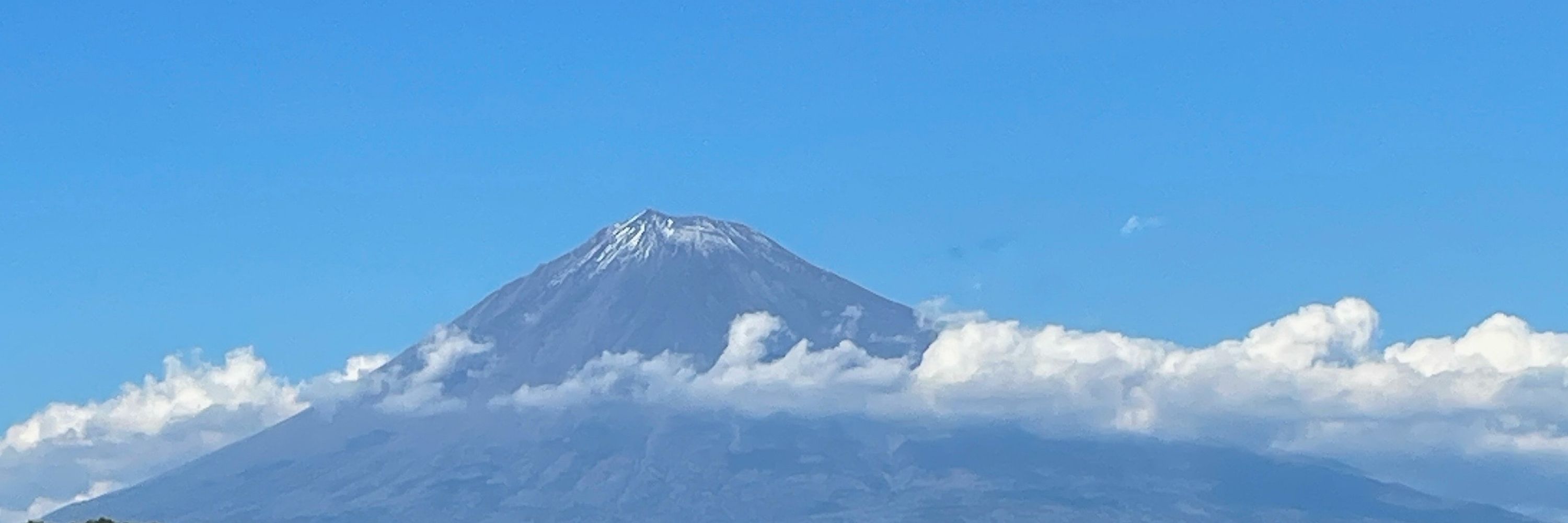 きりんご